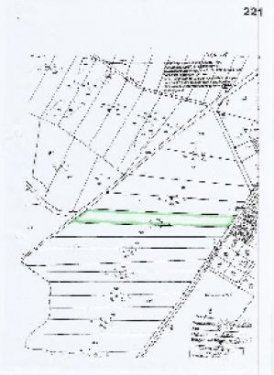 Samtens Grundstücke Reizvoller Mischwald auf Rügen Grundstück kaufen