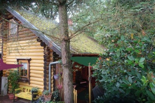 Tosterglope Günstiges Haus Komfortables Holzhaus am Waldrand zu verkaufen Haus kaufen