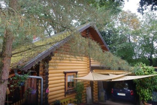 Tosterglope Immobilien Komfortables Holzhaus im Grünen auf großem Waldgrundstück Haus kaufen