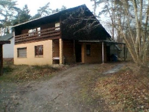 Wingst Haus Einfamilienhaus für Waldliebhaber Haus kaufen