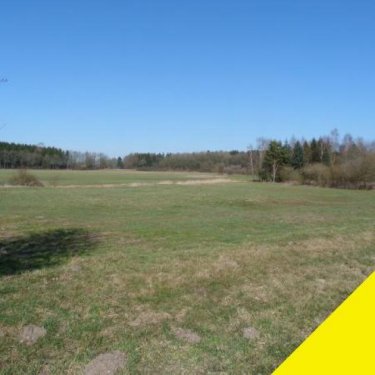 Oldenburg in Holstein Reitschule am Meer in Schleswig Holstein Gewerbe kaufen