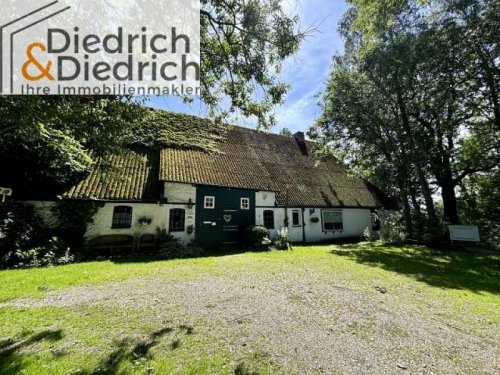 Wöhrden Haus Verkauf eines idyllisch gelegenen Bauernhauses mit eingewachsenem Grundstück 5 km von Heide entfernt Haus kaufen