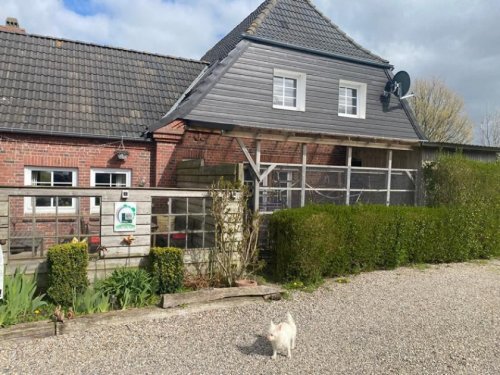 Husum Hausangebote IIM: Verkauf Wohnhaus mit Ferienwohnungen und leistungsstarker Gastronomie in der Region Nordfriesland, direkt hinter dem Deich