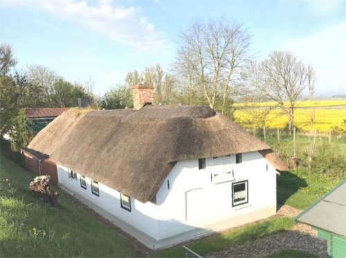 Nordstrand Historische Reetdachkate in idyllischer Deichlage, DHH Haus kaufen