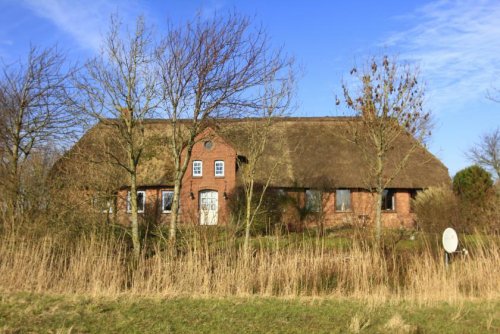 Hattstedt Haus Bauernhaus unter gemütlichem Reetdach in Alleinlage Haus kaufen