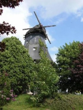 Borstel (Landkreis Diepholz) Immobilien Inserate Ausgebaute Windmuehle in 27246 Borstel Bietunterlagen anfordern Haus kaufen