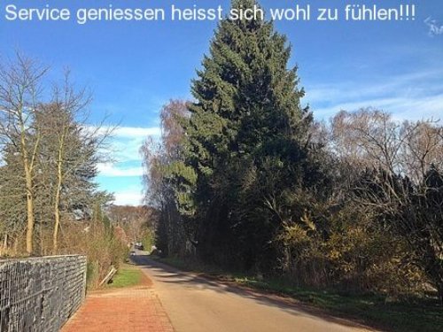 Porta Westfalica Grundstücke ***Unverbaut, geeignet für 5-6 EFH o. DHH ,Teilbar (5000qm, Ländlich, Zentral*** Grundstück kaufen