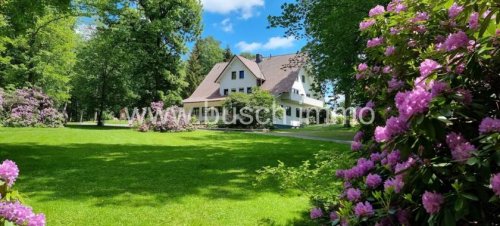 Brakel Hausangebote Wohnen und / oder Gewerbe - Haus mit vielen Möglichkeiten in Alleinlage Haus kaufen