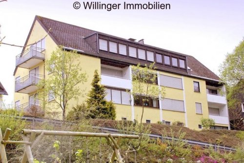 Willingen (Upland) Wohnen auf Zeit Schicke Wohnung am Ortsrand von Willingen Wohnung kaufen