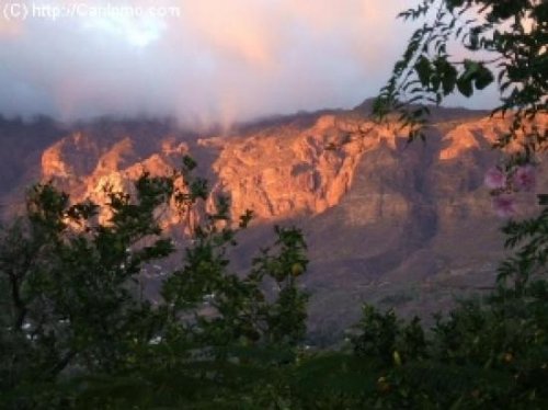 Ingenio de Santa Lucia Provisionsfreie Immobilien Finca in einem Pardiesgarten mit Banane, Feigen, Mandeln, Avocados Wohnung kaufen