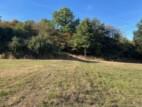 Herborn (Lahn-Dill-Kreis) Landwirtschaftliche Grundstücke rund um Herborn zu verkaufen - Auch im Paket Grundstück kaufen