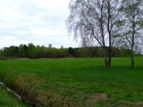 Ehra-Lessien Grundstück Werden Sie Nachbar von Heidschnucken, Storchen und anderen Waldbewohnern! Grundstück kaufen