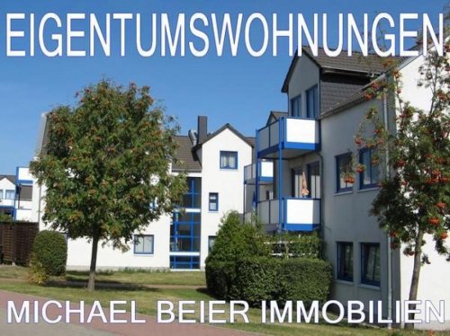 Magdeburg Wohnung Altbau SUCHE EIGENTUMSWOHNUNGEN Wohnung kaufen