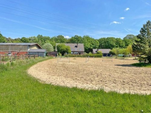 Wesel Gewerbe Immobilien NRW, Nordrhein-Westfalen, Kreis Wesel - Reitanlage mit Halle, Aussenplatz und Wohnhaus zu verkaufen Gewerbe kaufen