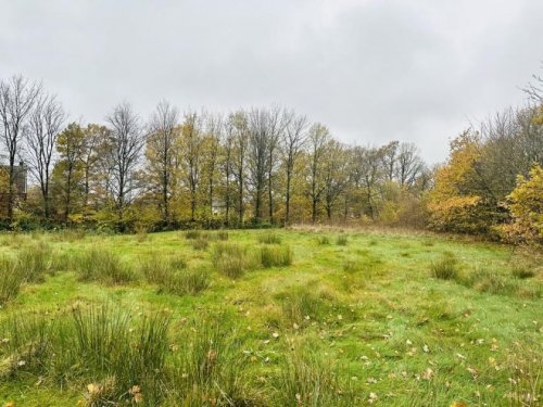 Roetgen Grundstück Großes Grundstück in Roetgen zu verkaufen Grundstück kaufen