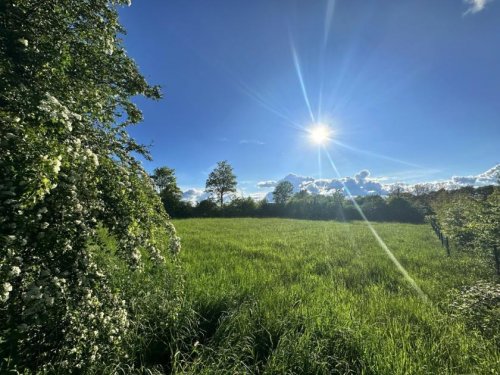 Roetgen Immobilienportal Grundstück an der Bundesstraße in Roetgen - Gewerbe oder Wohnen möglich Grundstück kaufen