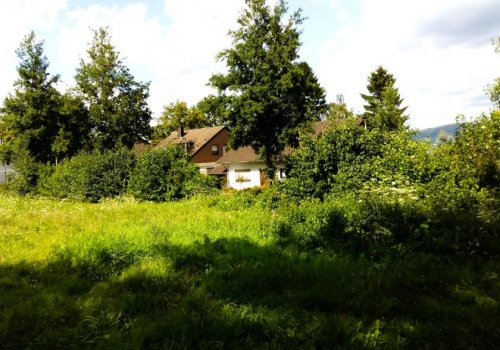 Bonn Immobilie kostenlos inserieren **Grundstück mit großem Potentzial** Grundstück kaufen