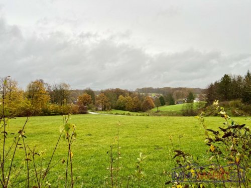 Neunkirchen-Seelscheid Provisionsfreie Immobilien Baugrundstück mit Baugenehmigung für Einfamilien- oder Doppelhaus Grundstück kaufen