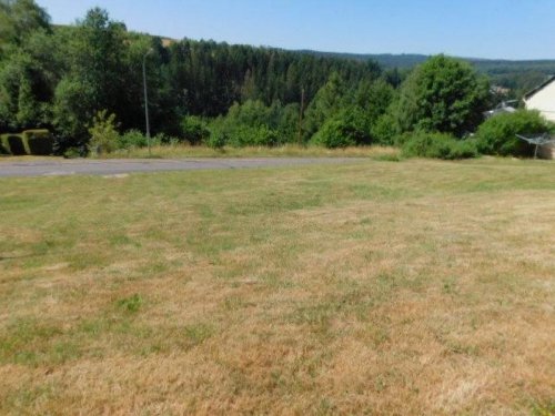 Neuhütten Immo wohnen im Naturpark Hunsrück-Hochwald - erschlossenes 806qm großes Baugrundstück in unverbaubarer Lage Grundstück kaufen