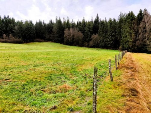 Ormont **Traumgrundstück in Ormont** Grundstück kaufen