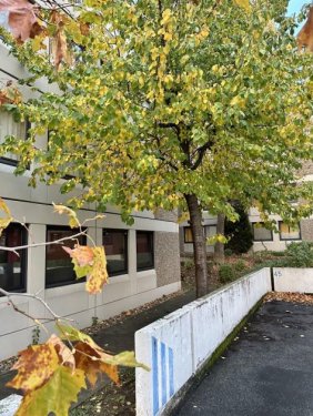 Mainz Wohnen auf Zeit Studentenappartment in Mainz-Hechtsheim Wohnung kaufen