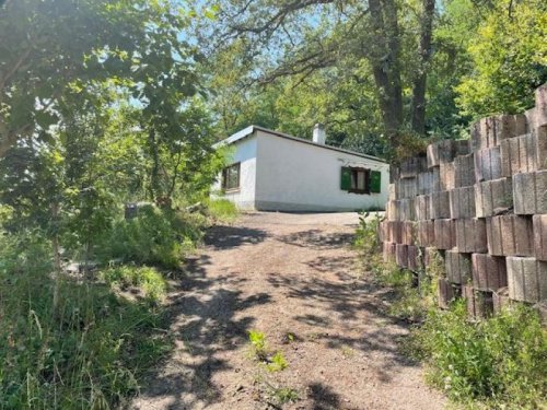 Albig Haus EUPORA® Immobilien: „Berghütte“ - Wochenendhaus mit großem Grundstück in Rheinhessen. Haus kaufen