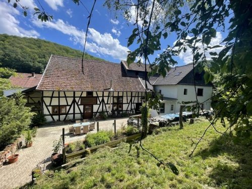 Bärweiler Haus Bauernhaus für Pferde-/Tierhaltung Nähe Kirn und Bad-Sobernheim 1,3 ha (plus weiteres Pachtland möglich) Haus kaufen