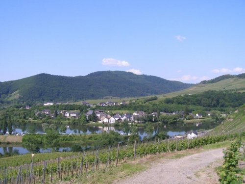 Cochem Wohnungen Schöne Eigentumswohnung als Renditewohnung an der Mosel zuverkaufen Wohnung kaufen