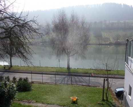 Zell (Mosel) Grundstücke Wohnen und Relaxen unverbaubaren Moselblick Grundstück kaufen