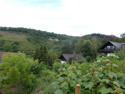 Bullay Wohnen am Tor zur Mittelmosel mit Blick in die Natur Grundstück kaufen