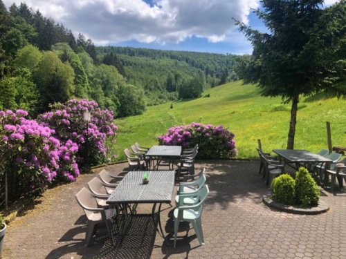 Winterberg Immobilien FERIENUNTERKUNFT mit großem Grundstück & Ausbaupotential in wunderschöner NATUR Lage in Winterberg Gewerbe kaufen