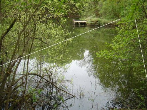 Mühlheim am Main Grundstücke Nobelino.de - Wochenendgrundstück / Freizeitgrundstück am Grünen See in Mühlheim am Main Grundstück kaufen