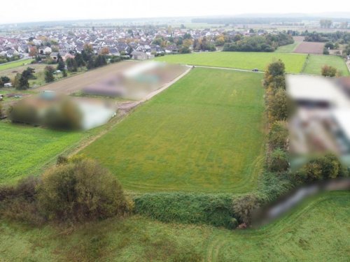 Babenhausen Grundstücke DIETZ: Traumhafte Landwirtschaftsfläche in Babenhausen Hergershausen neben Reiterhof zu verkaufen! Grundstück kaufen