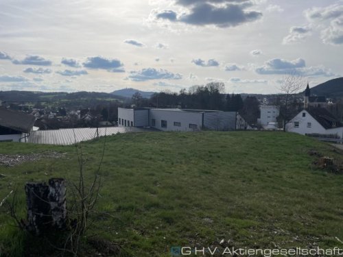 Oberthal Grundstücke Baugrundstück mit Fernblick (Südlage) ***provisiosfrei*** Grundstück kaufen