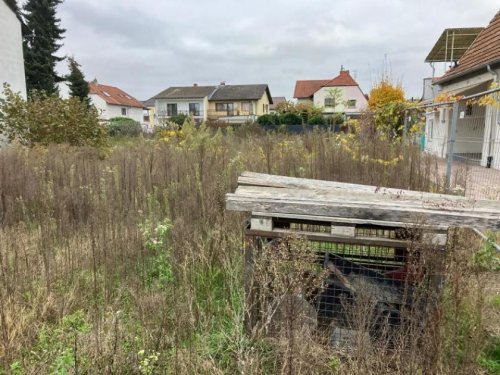 Speyer Grundstück ObjNr:19087 - Voll erschlossenes Baugrundstück in Speyerer Bestlage Grundstück kaufen