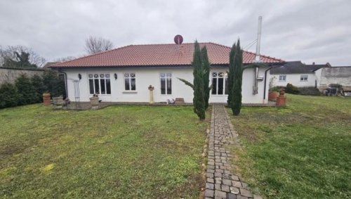 Dittelsheim-Heßloch Häuser ObjNr:19640 - Neuwertiger Bungalow mit großem Garten in Dittelsheim-HESSLOCH Haus kaufen