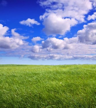 Engstingen Grundstück Konvolut an Landwirtschaftsflächen (Ackerland oder Grünland) in Engstingen gegen Höchstgebot! Grundstück kaufen