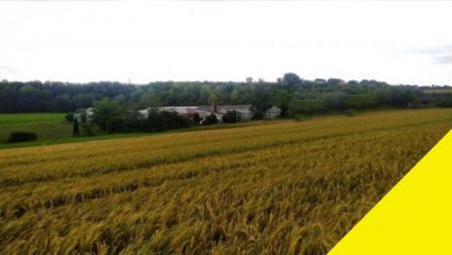 Sachsenheim Immobilien Inserate Gärtnerei mit 5 großen Gewächshäusern und 10000 m² Land Gewerbe kaufen