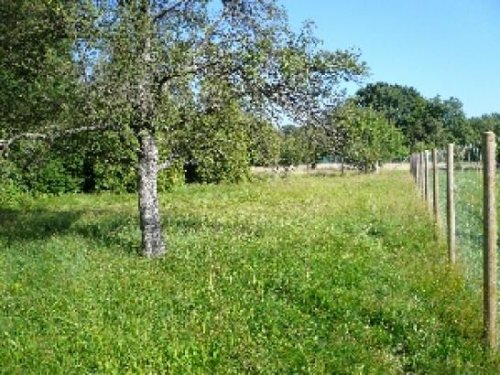 Pforzheim-Hegenach Grundstücke Baugrundstück in TOP ruhiger Lage! Grundstück kaufen