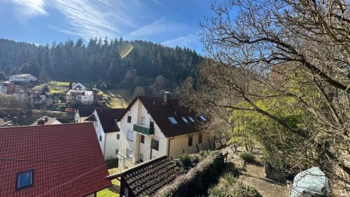 Bad Liebenzell Immo Schöne gut vermietete2 Zimmerwohnung in Bad Liebenzell Wohnung kaufen