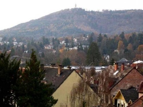 Baden-Baden Günstige Wohnungen Kontraste! Wohnen mit Fern-oder Waldblick. 2 Zim.DG Wohnung Wohnung kaufen