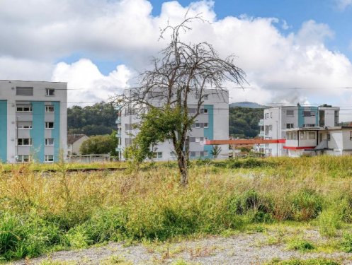 Gaggenau Immobilien Sonniger Bauplatz für eine großzügige Doppelhaushälfte mit Baugenehmigung Grundstück kaufen