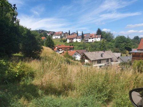 Bühlertal Immobilien Inserate BÜHLERTAL: WOHNGRUNDSTÜCK 1464 m2! Teilweise im Landschaftsschutzgebiet mit unverbaubarer Aussichtslage. Grundstück kaufen