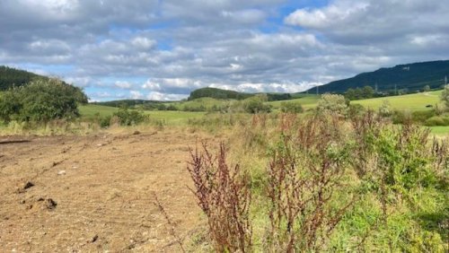 Wellendingen Grundstücke Großzügiges Baugrundstück in hervorragender Lage; 
Nähe Rottweil Grundstück kaufen