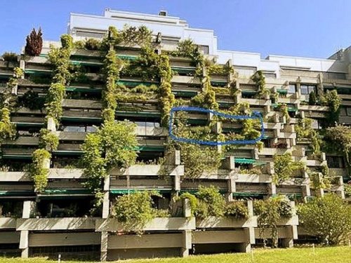 München Wohnung Altbau Grüner Wohnen in einer kernsanierten 2,5-Zimmer-Wohnung mit Südterrasse in Bogenhausen - München Wohnung kaufen