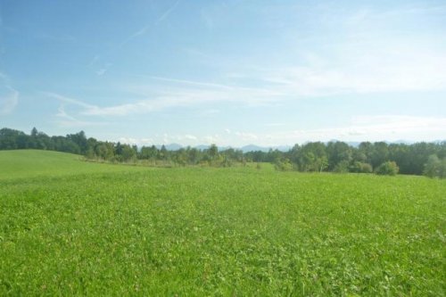 Weilheim in Oberbayern Süd-SüdWest von Weilheim in traumhafter Lage mit Blick in die Alpen Grundstück kaufen