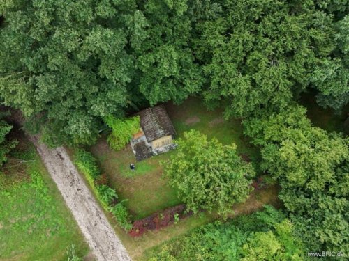 Altenmünster Immobilie kostenlos inserieren Imkerei - Exklusives Gartengrundstück im Naturschutzgebiet Grundstück kaufen