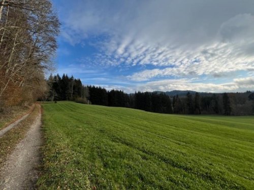 Altusried Grundstück Begehrt und wertbeständig, Grundbuch statt Sparbuch! Grundstück kaufen