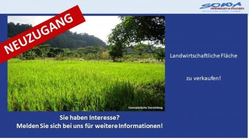 Syrgenstein Immobilien Großzügige Landwirtschaftsfläche oder Ausgleichsfläche zu verkaufen in Syrgenstein - Ein Objekt von SOWA Immobilien &