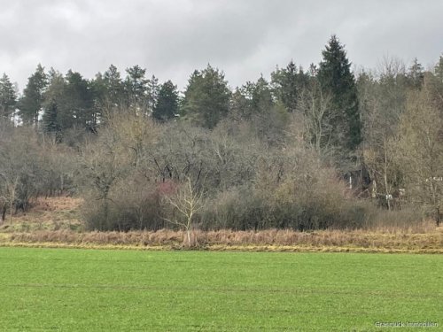 Ostheim vor der Rhön Immobilien Inserate Verwildertes Freizeitgrundstück mit Bebauungsmöglichkeit - Teilweise erschlossen Grundstück kaufen